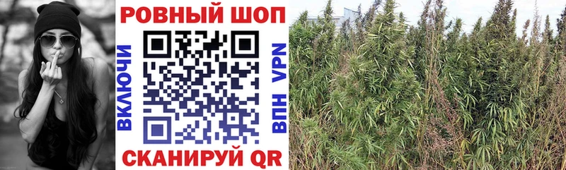 Купить закладку Кокаин Меф Амфетамин Марихуана Яровое