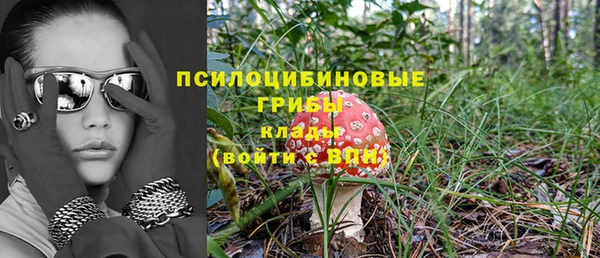 ешки Майский