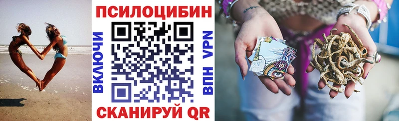 Галлюциногенные грибы Psilocybine cubensis  Купить где  Яровое 